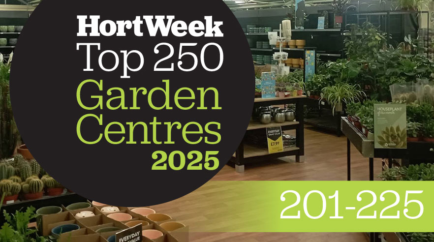 Houseplants at Dobbies Stockton